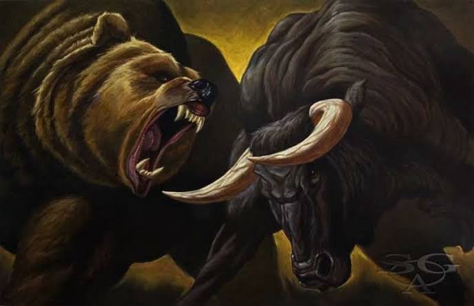 urso boi